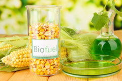 Rhynie biofuel availability